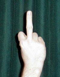 200px-Middle_finger.JPG