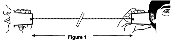 Figure1MetaphysiqueAEffetLarsen.jpg