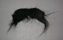 moustache.jpg