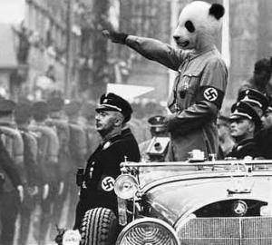 panda_hitler.jpg